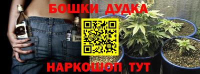 ПСИЛОЦИБИНОВЫЕ ГРИБЫ Краснодар