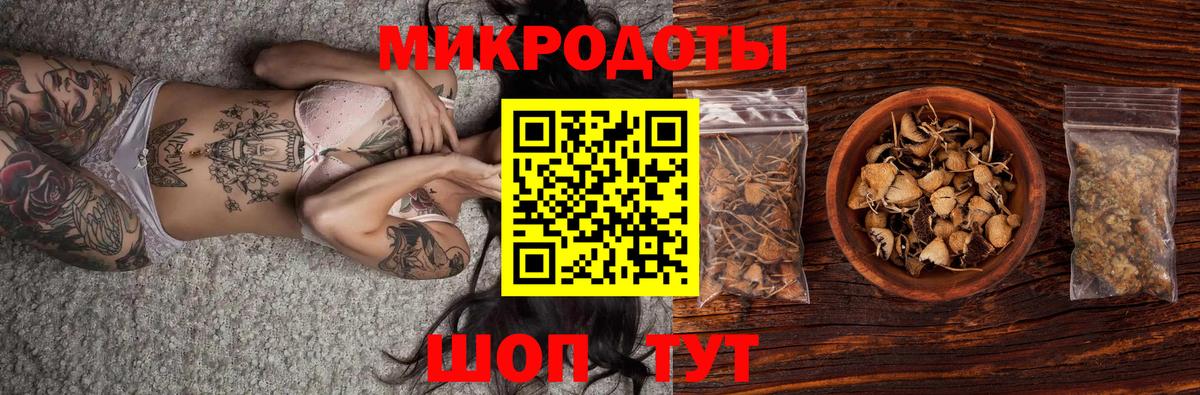 купить наркотики сайты  Вход с VPN  Галлюциногенные грибы мицелий  Ярцево  Псилоцибиновые грибы Psilocybine cubensis 