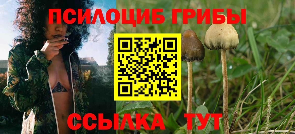 Псилоцибиновые грибы мицелий Ярцево